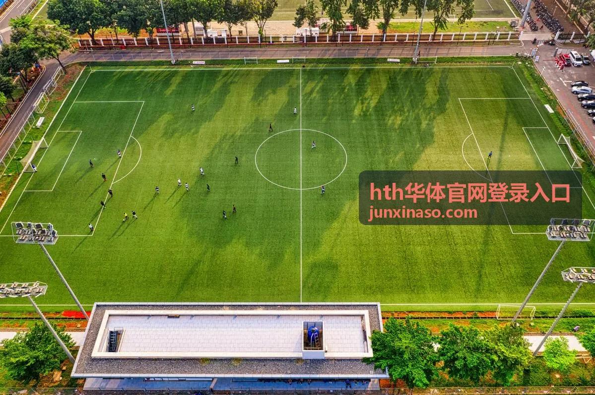 手机浏览器访问登录入口的移动场景
